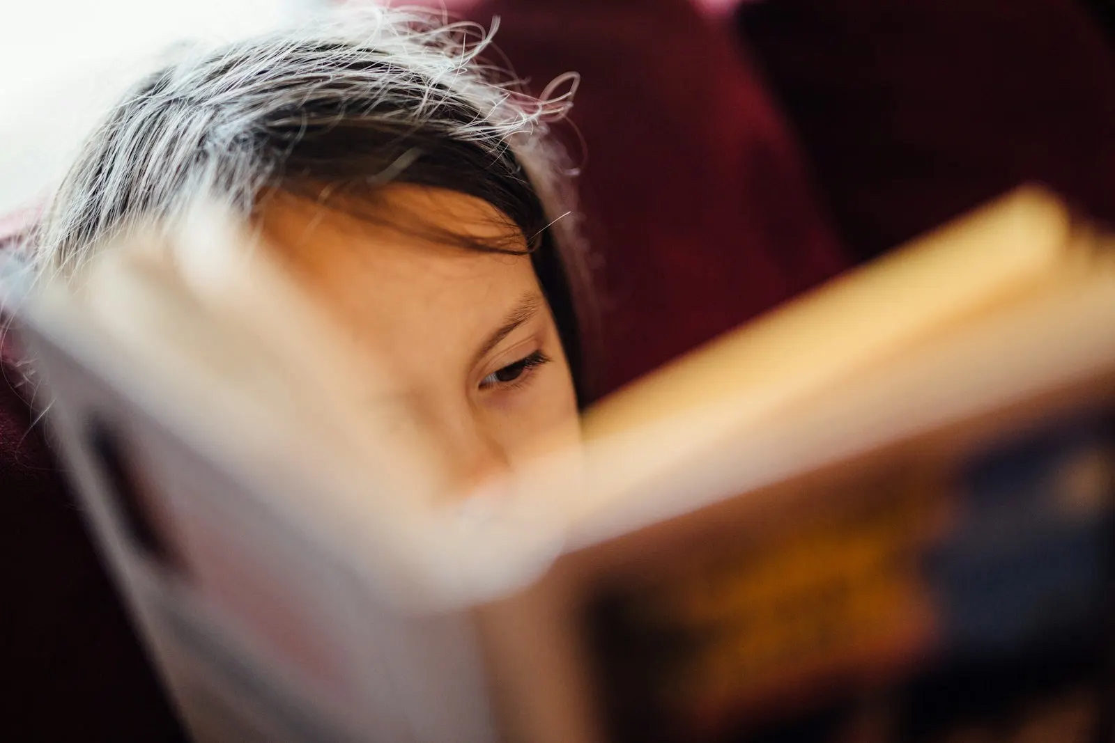 A child absorbed in a book